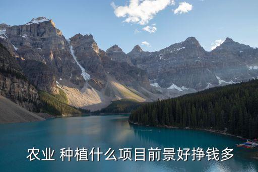 农业种植什么赚钱