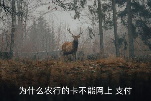 农业银行支付不了怎么回事