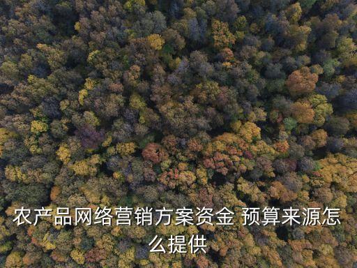农业公司月预算怎么做,公司年度预算怎么做