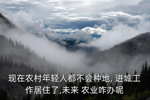 农民进城后农业怎么办,农民都进城了乡下怎么办