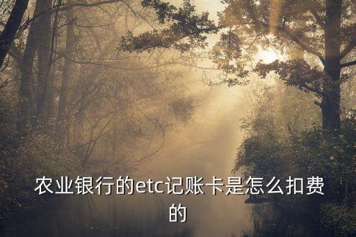 农业银行etc怎么还钱,ETC卡怎么还钱