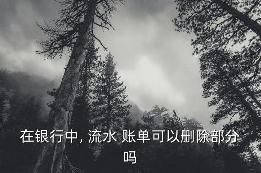 在银行中, 流水 账单可以删除部分吗