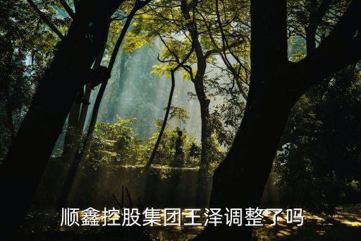 顺鑫农业简历怎么样