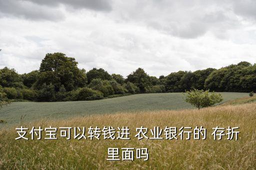 怎么赚钱到农业银行存折