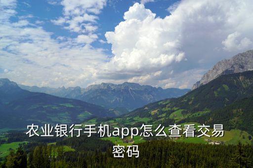 农业银行支付密码怎么使用,手机农业银行支付密码怎么改