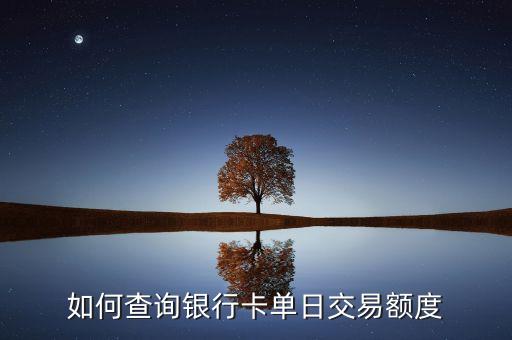 如何查询银行卡单日交易额度