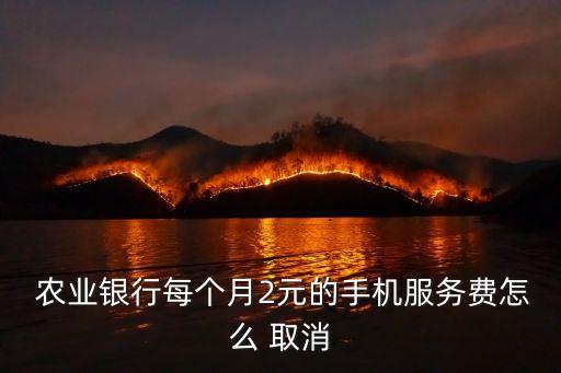  农业银行每个月2元的手机服务费怎么 取消