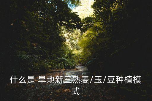 什么是 旱地新三熟麦/玉/豆种植模式
