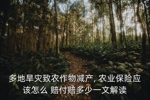 农业保险花生赔付怎么算