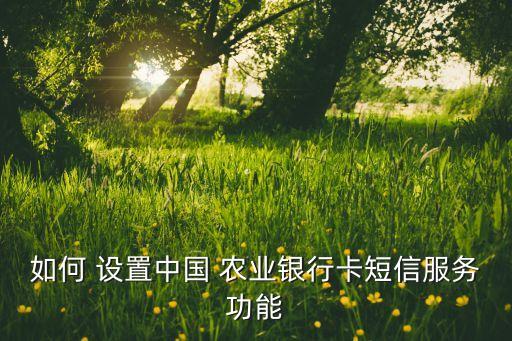 农业银行消息栏图片怎么设置