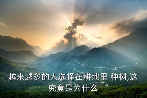 越来越多的人选择在耕地里 种树,这究竟是为什么