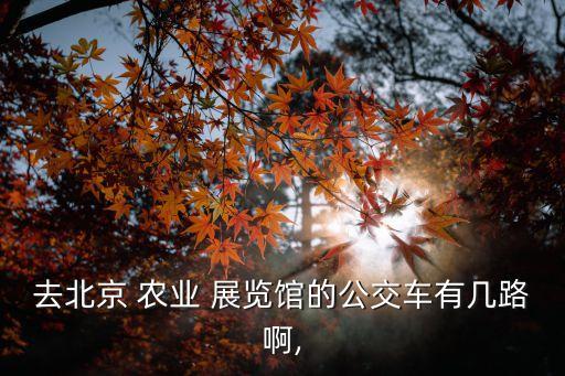 全国农业展览馆怎么进去,北京全国农业展览馆地址