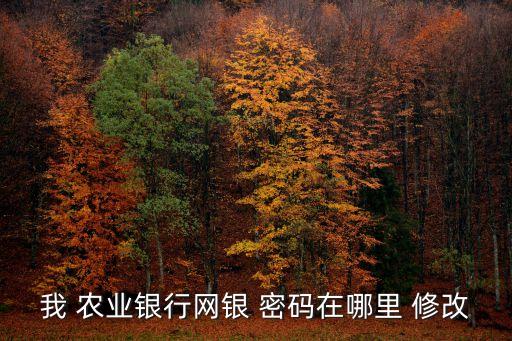 农业密码怎么改密码修改,wifi密码手机怎么改密码修改