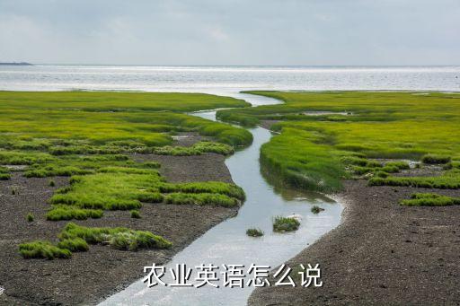 农业和日历英文怎么写的,日历星期几用英文怎么写