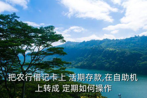 把农行借记卡上 活期存款,在自助机上转成 定期如何操作