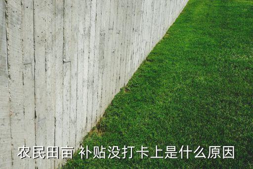 农业补贴未到账怎么办啊