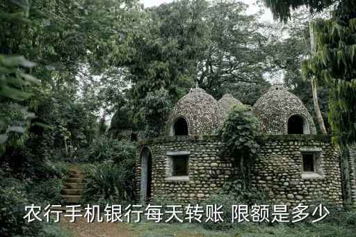 农业银行app怎么看限额,农行乐分易怎么申请