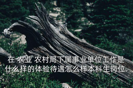 农业农村局考编怎么样
