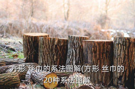 方形 丝巾的系法图解(方形 丝巾的20种系法图解