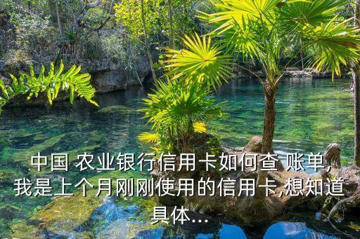 农业银行月总账单怎么查