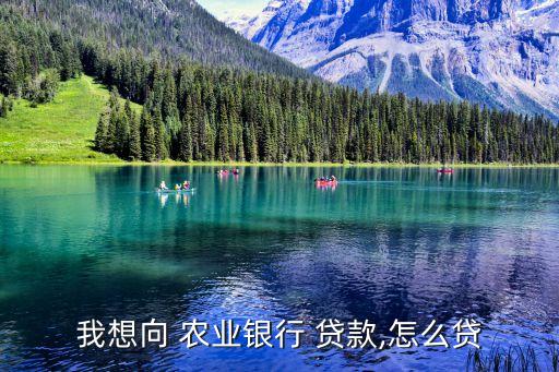 我想向 农业银行 贷款,怎么贷