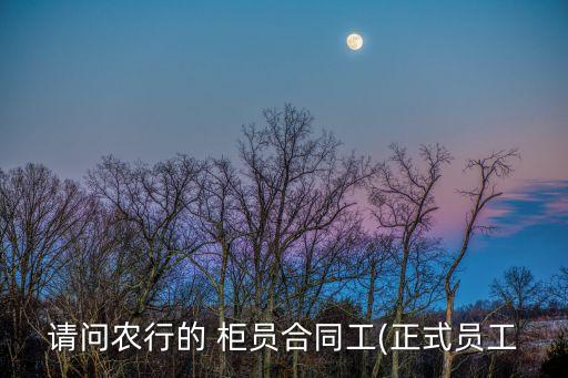 请问农行的 柜员合同工(正式员工
