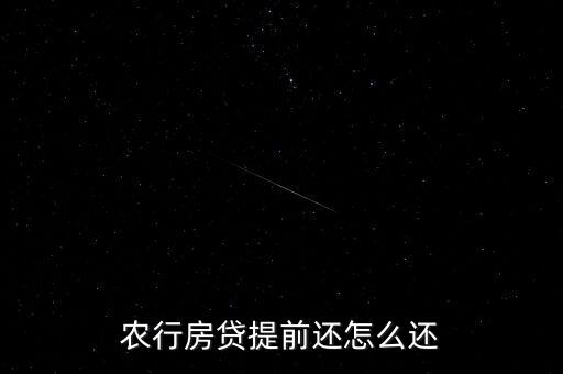 农业银业怎么贷款还款的,农业项目怎么贷款