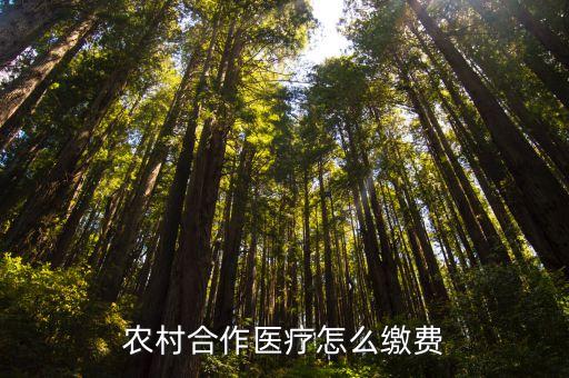 农业医保怎么交的,怎么查询医保是否交了