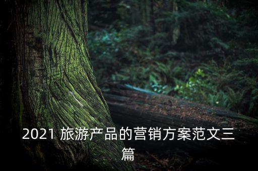 农业旅游促销策略怎么写
