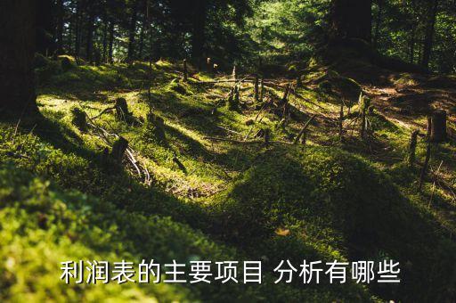 农业公司利润指标表分析怎么写