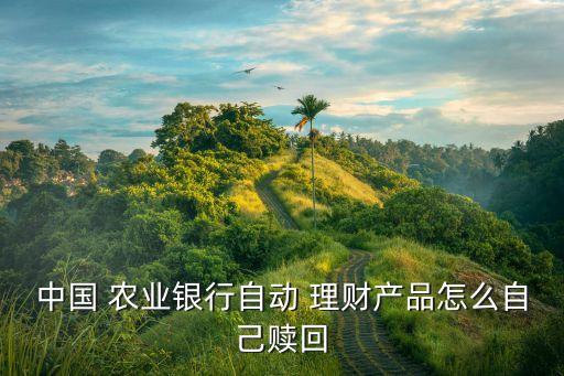 中国 农业银行自动 理财产品怎么自己赎回