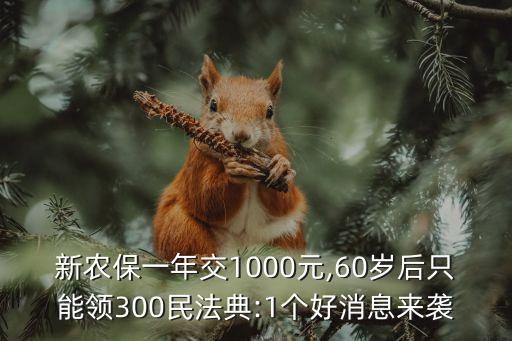 新农保一年交1000元,60岁后只能领300民法典:1个好消息来袭