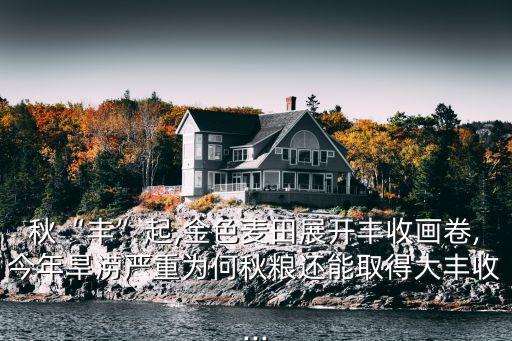 秋“丰”起,金色麦田展开丰收画卷,今年旱涝严重为何秋粮还能取得大丰收...