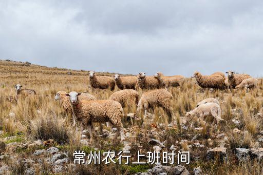 农业银行什么时候上的市