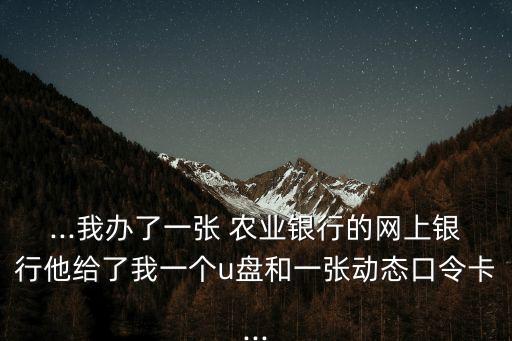 ...我办了一张 农业银行的网上银行他给了我一个u盘和一张动态口令卡...