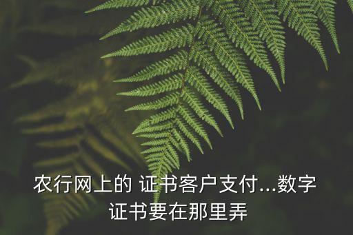 农行网上的 证书客户支付...数字 证书要在那里弄