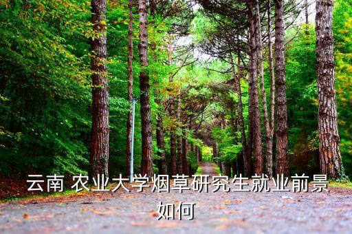 云南农业大学 怎么样