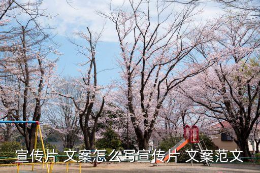 农业公司介绍视频文案怎么写好呢,公司介绍短视频文案