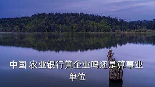 昌吉州农业银行是什么单位,陕西省农业银行是什么级别单位