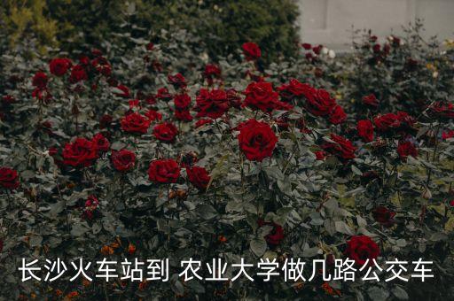 怎么到湖南农业大学,湖南农业大学研究生分数线