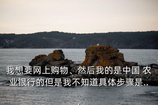 我想要网上购物、然后我的是中国 农业银行的但是我不知道具体步骤是...