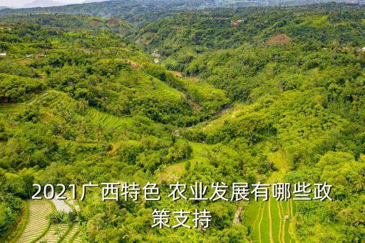 2021广西特色 农业发展有哪些政策支持