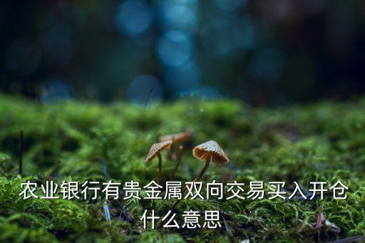 农业银行纸白银怎么评测