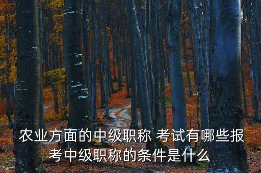  农业方面的中级职称 考试有哪些报考中级职称的条件是什么