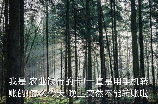 我是 农业银行的卡!一直是用手机转账的!怎么今天 晚上突然不能转账啦