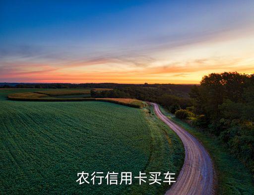 农行信用卡买车