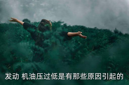 发动 机油压过低是有那些原因引起的