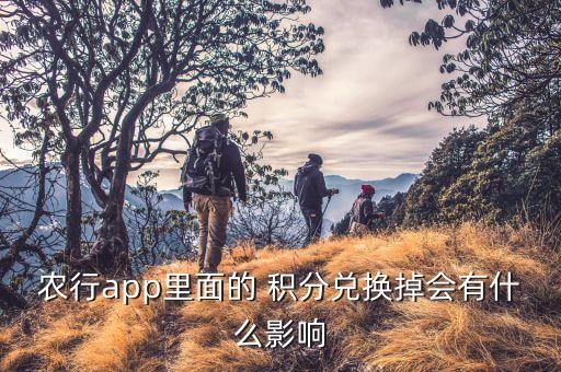 农业银行积分减少怎么办