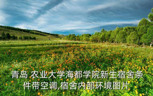 青岛农业大学张长生怎么样