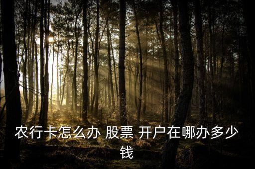 农行卡怎么办 股票 开户在哪办多少钱